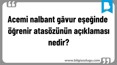 Acemi nalbant gâvur eşeğinde öğrenir atasözünün açıklaması nedir?
