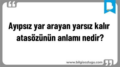 Ayıpsız yar arayan yarsız kalır atasözünün anlamı nedir?