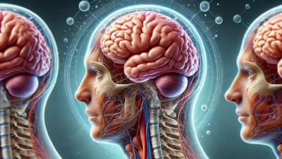 Beyincik kendini yeniler mi?