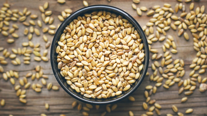 Gülek ne demek? Gülek kelimesinin anlamı nedir?