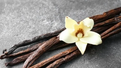 Vanilya nedir? Vanilya nasıl elde edilir?