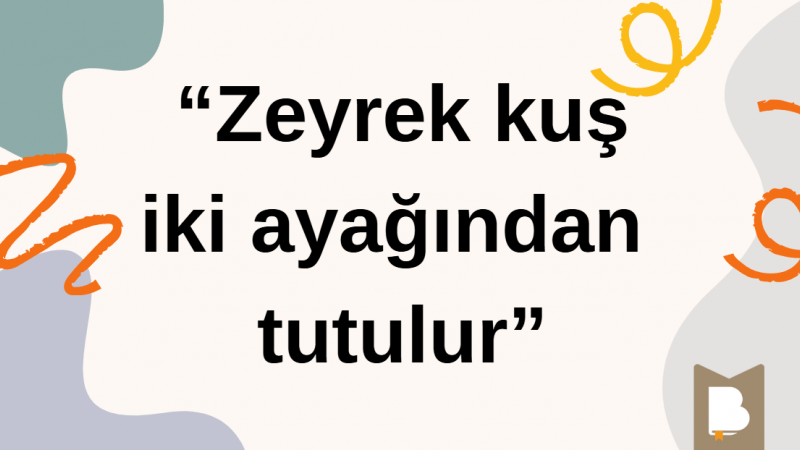 Zeyrek kuş iki ayağından tutulur ne demek? Zeyrek kuş iki ayağından tutulur atasözünün anlamı nedir?
